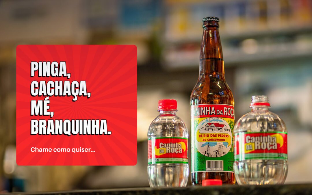 Artigo de teste da IBP Bebidas